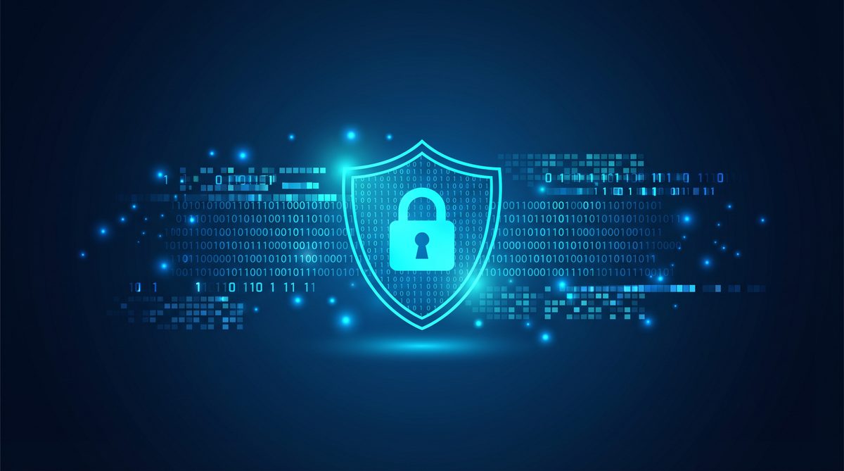 n1加速器隐私安全保护